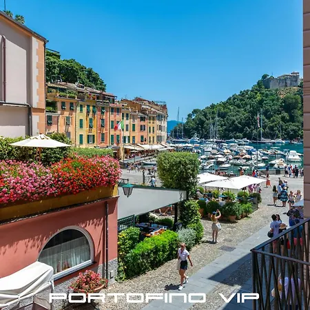Celeste By Portofinovip